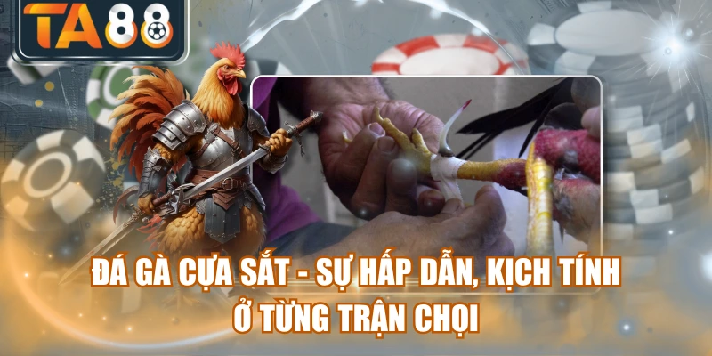 Đá Gà Cựa Sắt