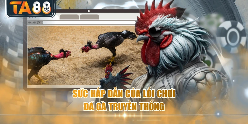 Sức hấp dẫn của lối chơi đá gà truyền thống