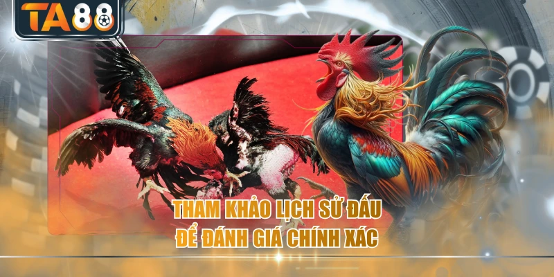 Tham khảo lịch sử đấu để đánh giá chính xác