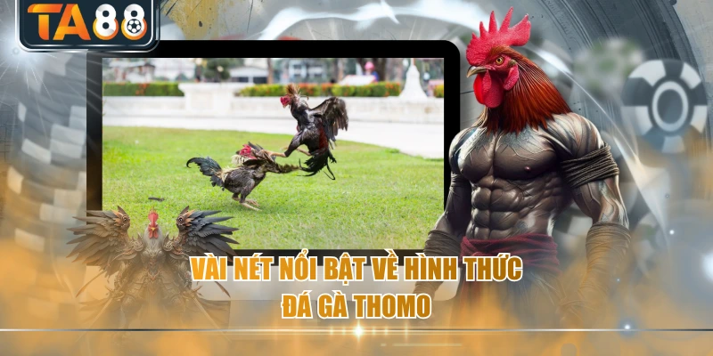 Vài nét nổi bật về hình thức đá gà Thomo